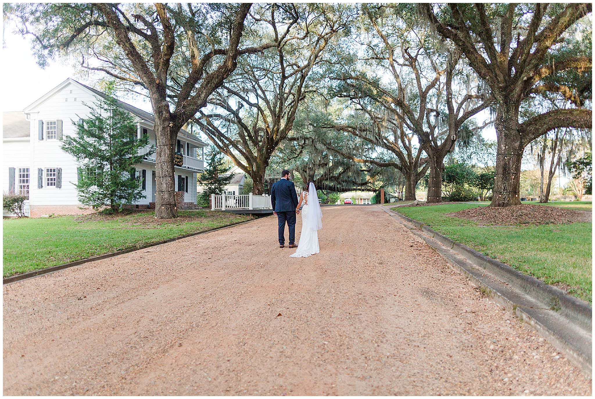 Newlyweds walk down an unpaved road to the plantation house surrounded by oak trees