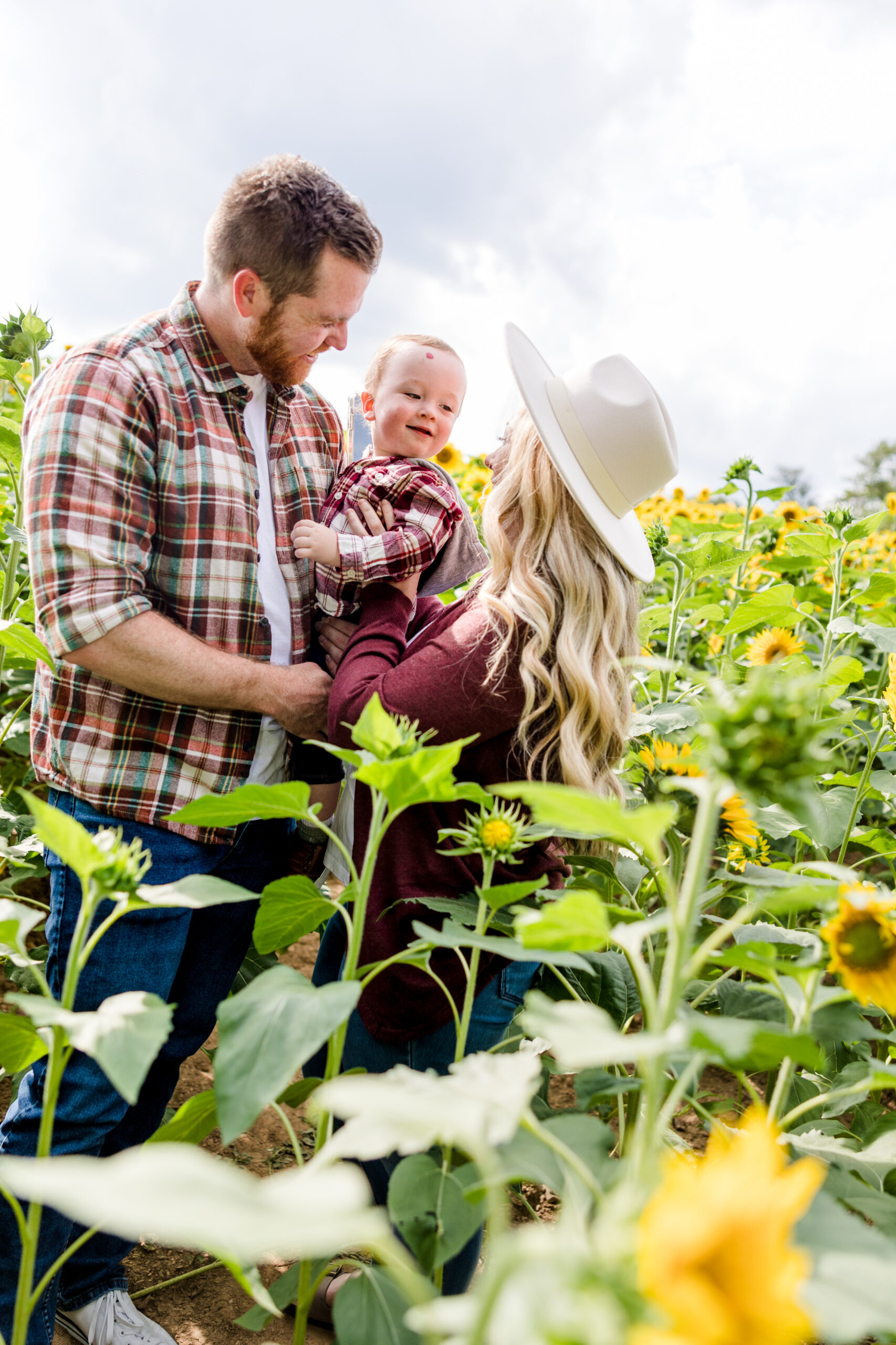 Family photos in a sunflower field 